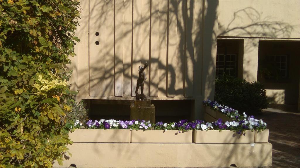 Chartwell Castle & Guest House Bagian luar foto