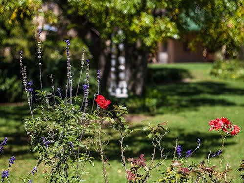 Chartwell Castle & Guest House Bagian luar foto